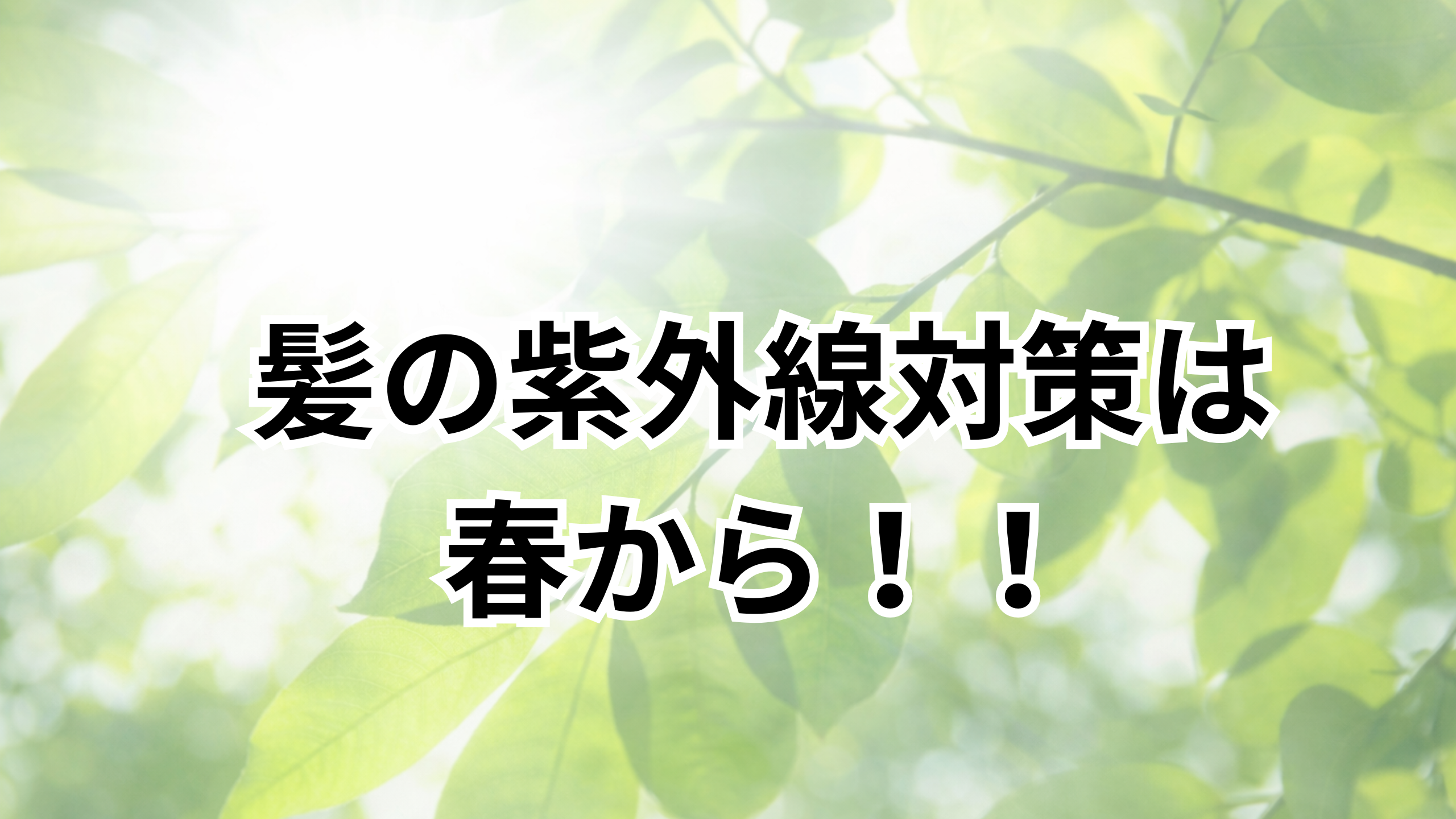 木の間から木漏れ日が降り注いでる画像。緑の木々が気持ちを落ち着かせてくれる